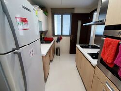Residences @ Evelyn (D11), Condominium #304834591